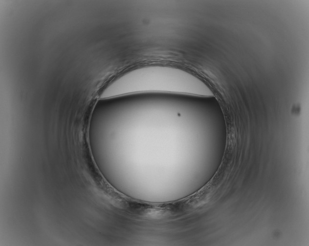 X0000091460504200708161110