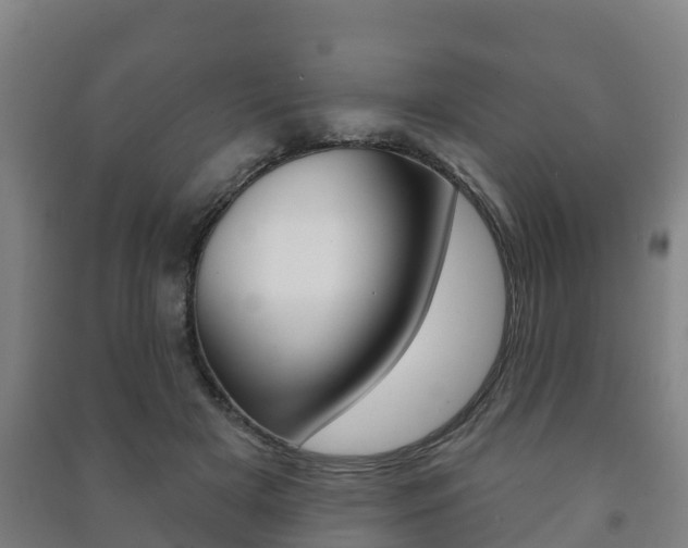 X0000091460505200708161110