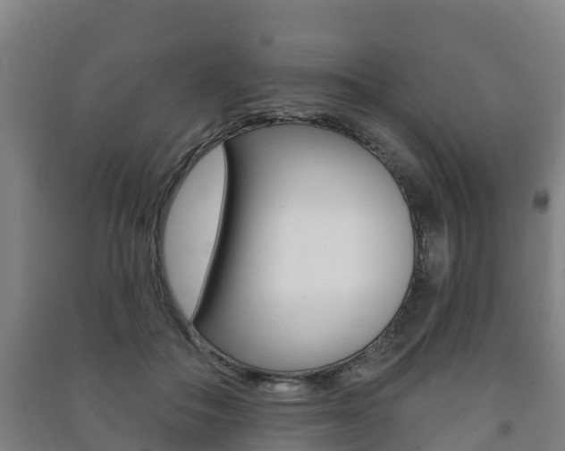 X0000091460506200708161110