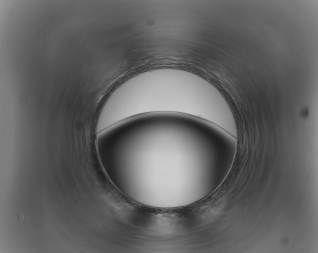 X0000091460508200708161110