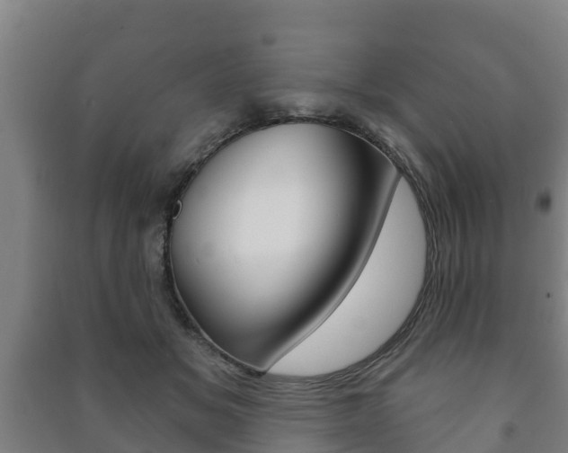 X0000091460509200708161110