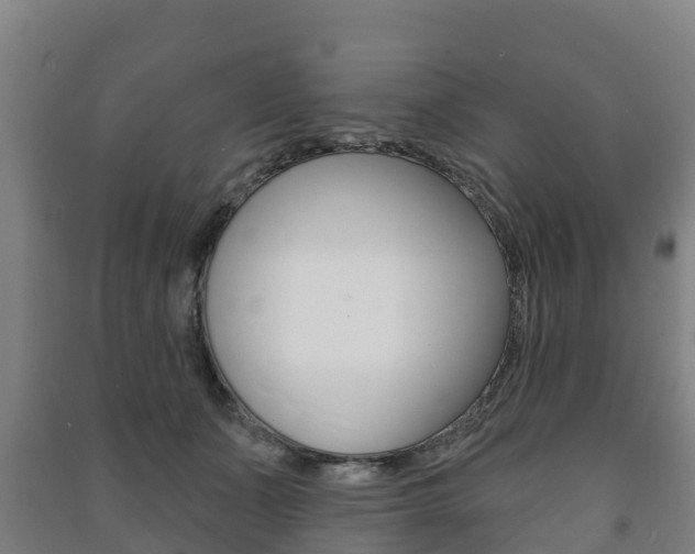 X0000091460511200708161110