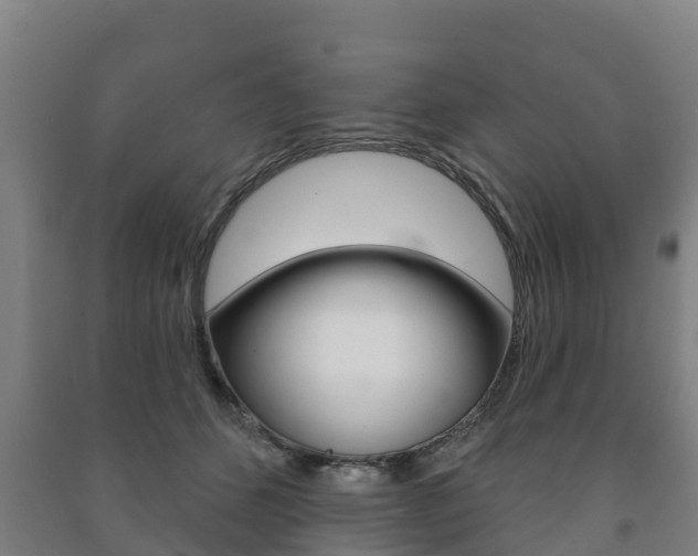 X0000091460512200708161110