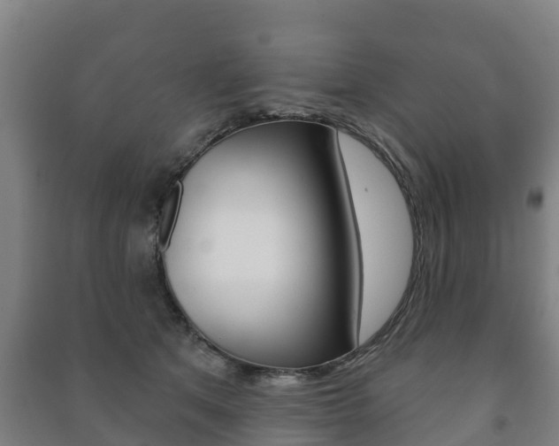 X0000091460513200708161110