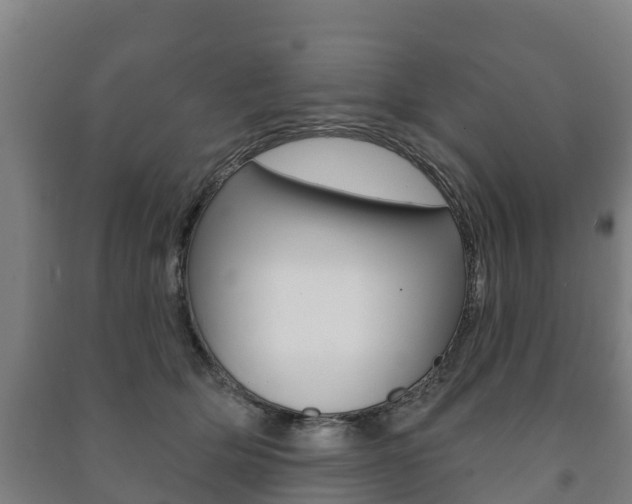 X0000091460514200708161110
