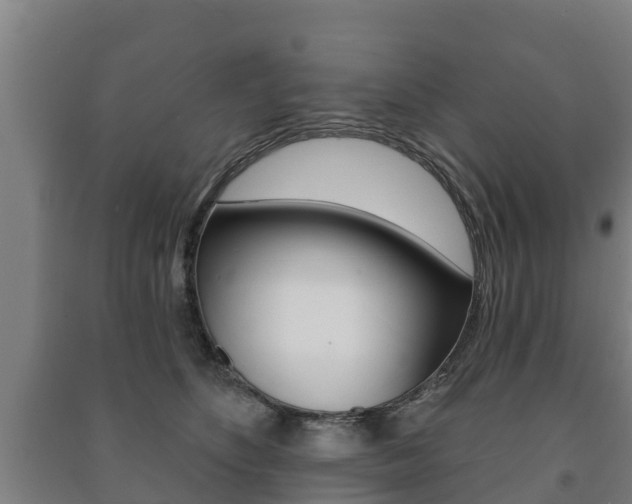 X0000091460516200708161110