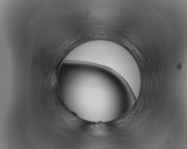 X0000091460517200708161110