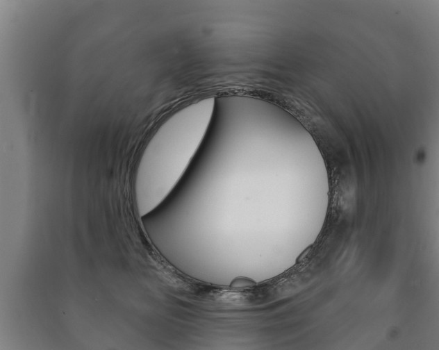 X0000091460518200708161110