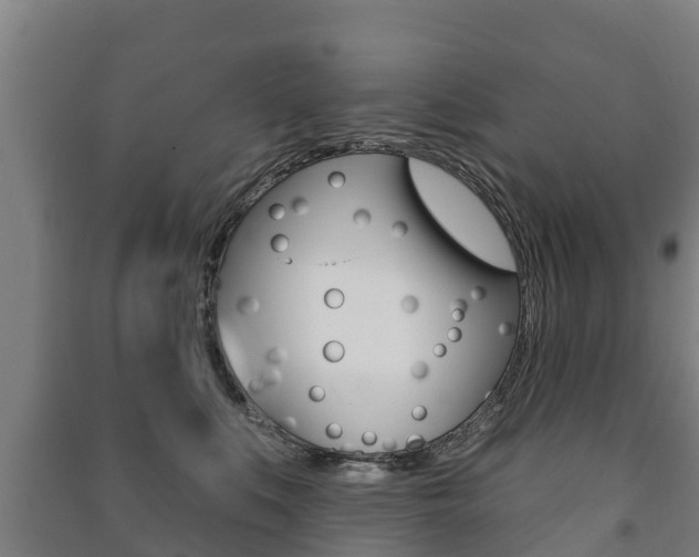 X0000091460519200708161110