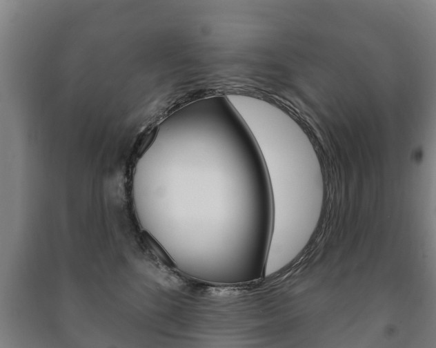 X0000091460520200708161110