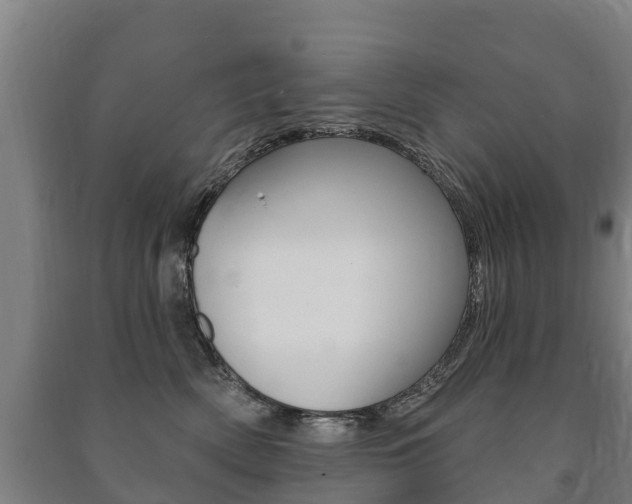 X0000091460522200708161110