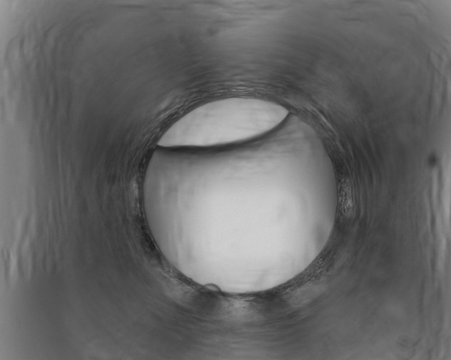 X0000091460523200708161110
