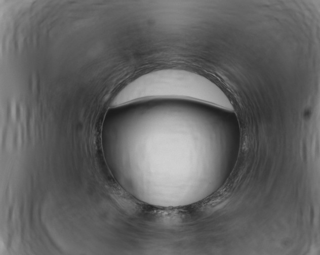 X0000091460524200708161109