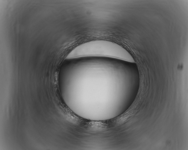 X0000091460528200708161109