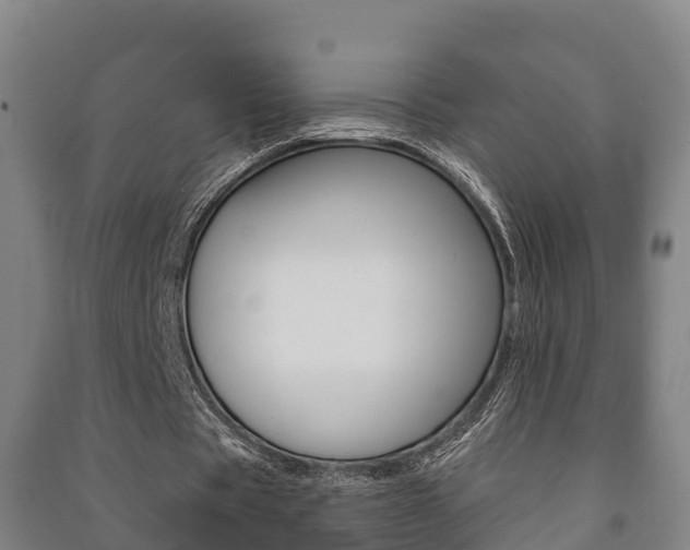 X0000091460529200708161109