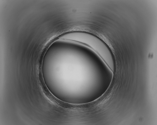X0000091460530200708161109