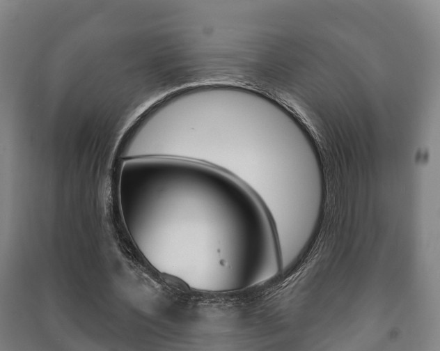 X0000091460532200708161109