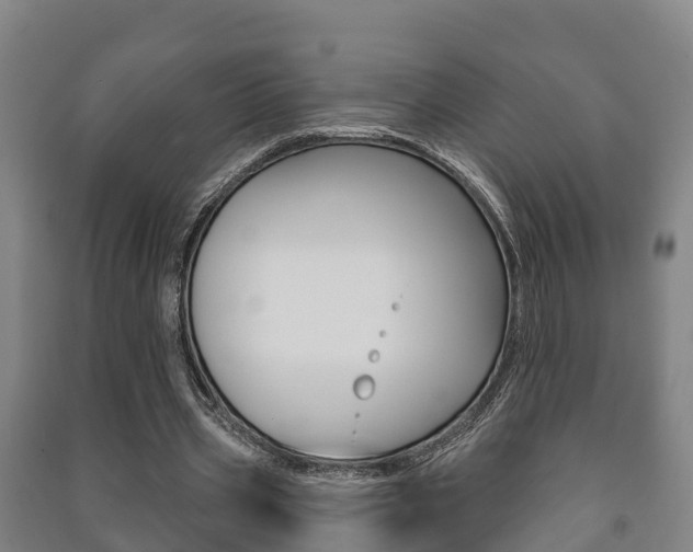 X0000091460533200708161109