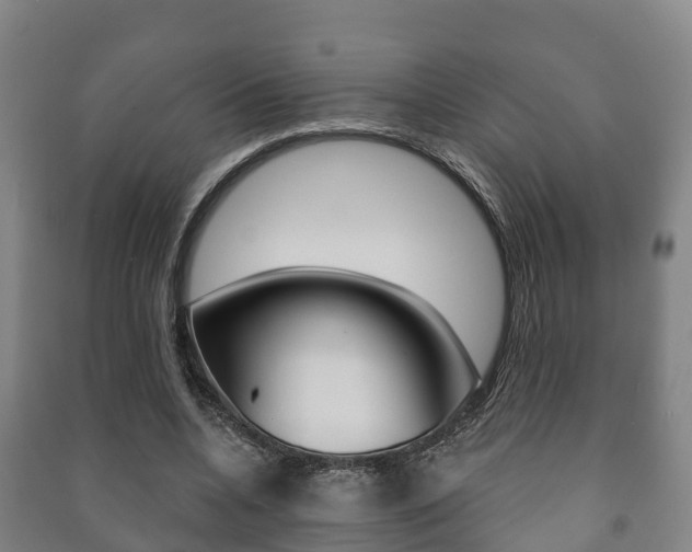 X0000091460536200708161109