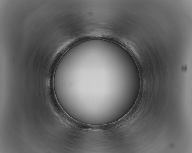 X0000091460539200708161109