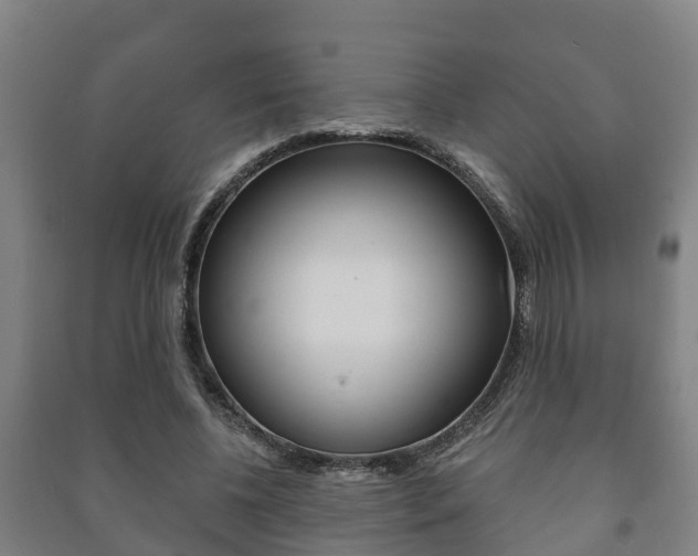 X0000091460540200708161109