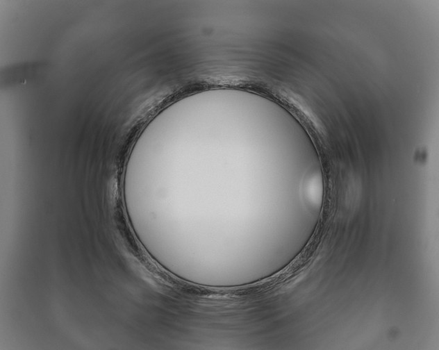 X0000091460541200708161109