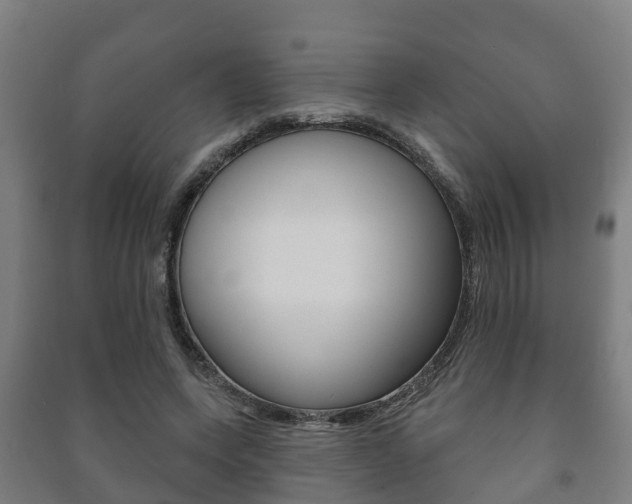 X0000091460543200708161109
