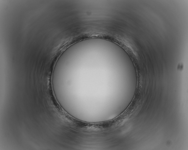X0000091460545200708161109