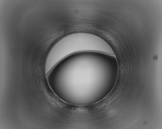 X0000091460546200708161109