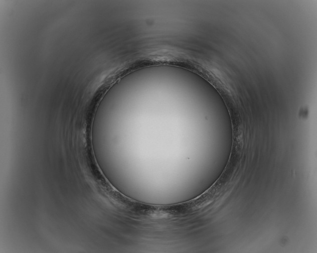 X0000091460547200708161109