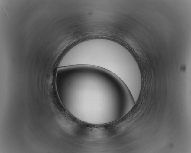 X0000091460548200708161109