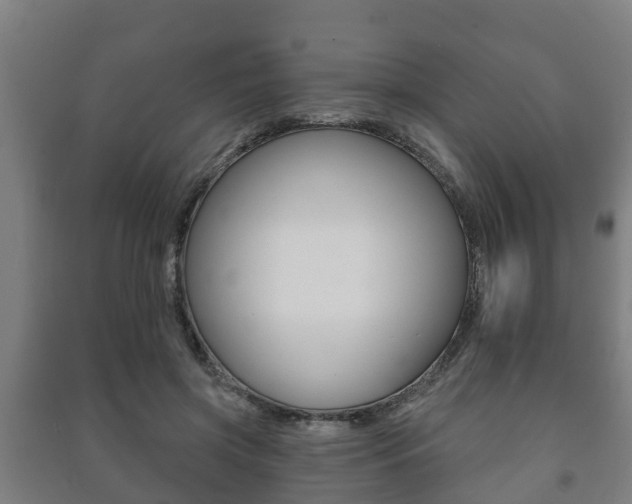 X0000091460549200708161109