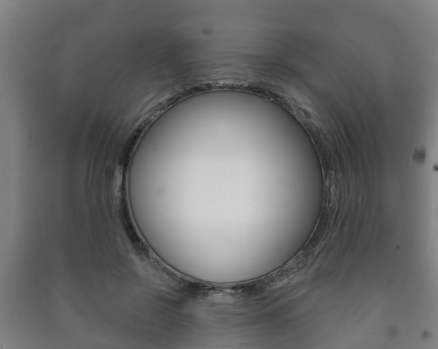 X0000091460550200708161109