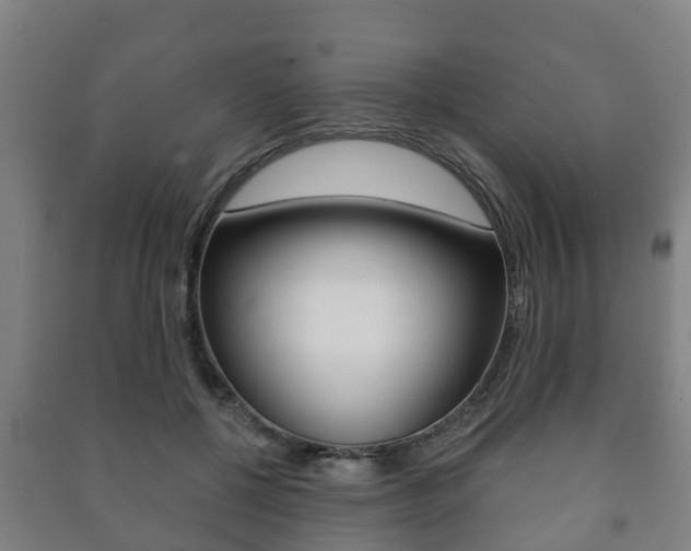 X0000091460552200708161109