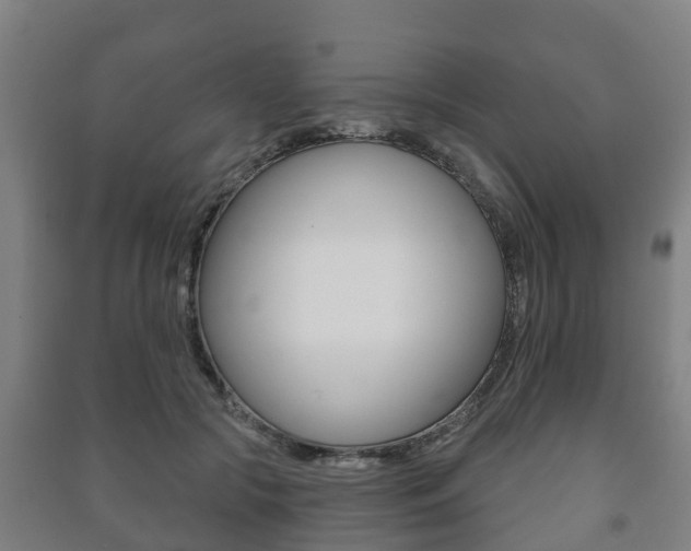 X0000091460553200708161109