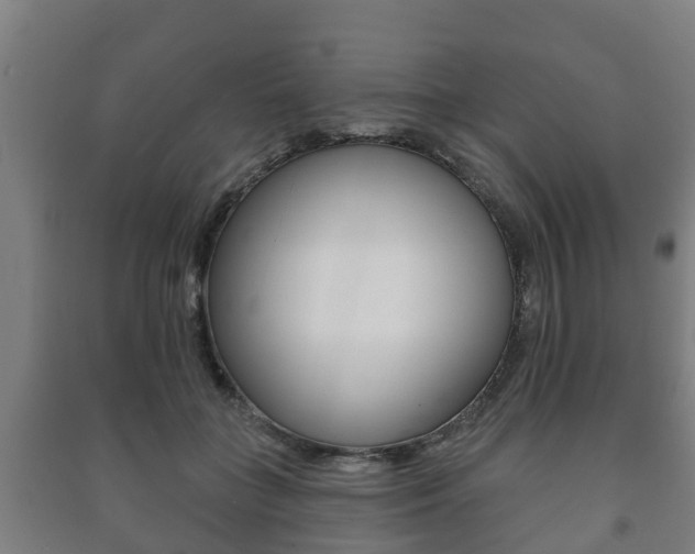 X0000091460555200708161109