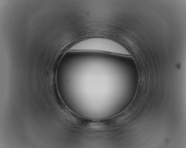 X0000091460556200708161109