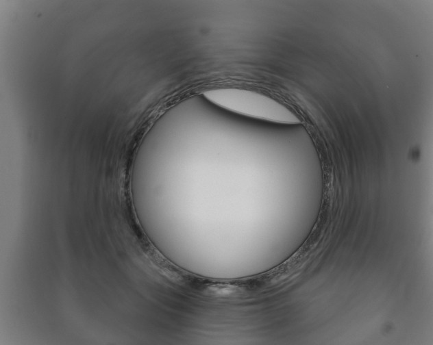X0000091460557200708161109