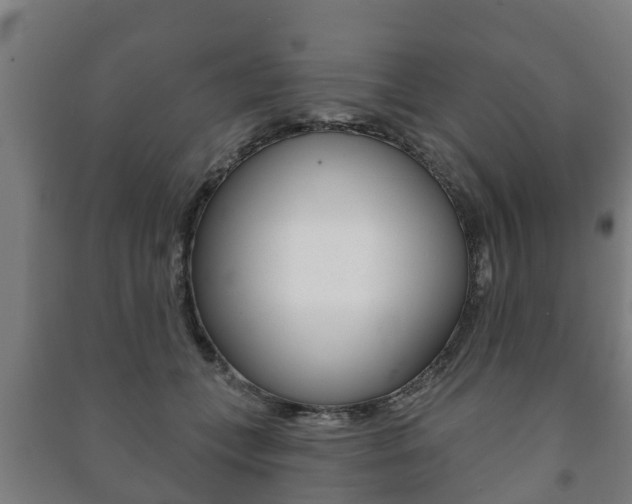 X0000091460559200708161109
