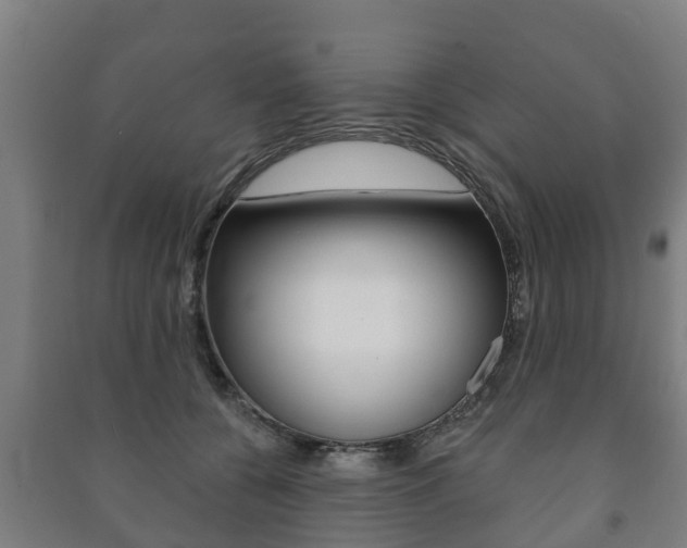 X0000091460560200708161109