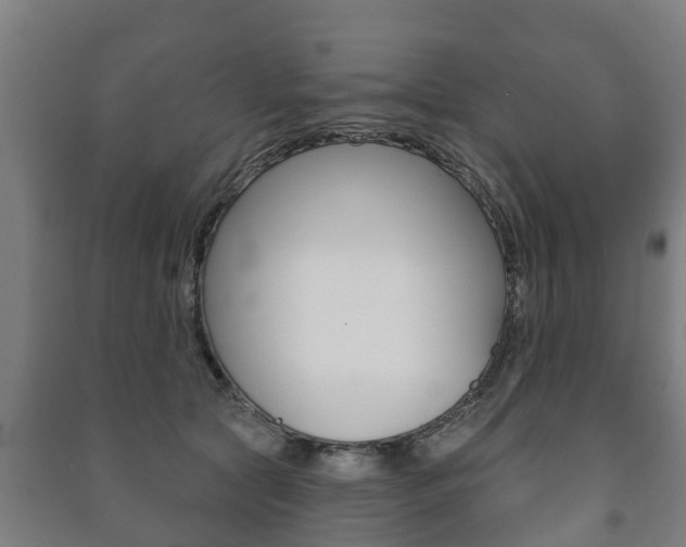 X0000091460561200708161109