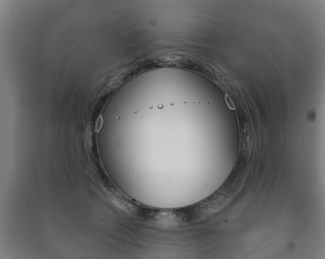 X0000091460562200708161109