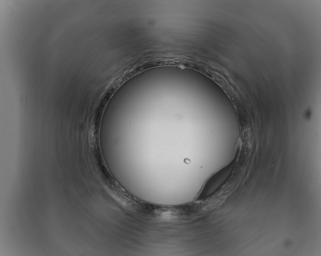 X0000091460564200708161109