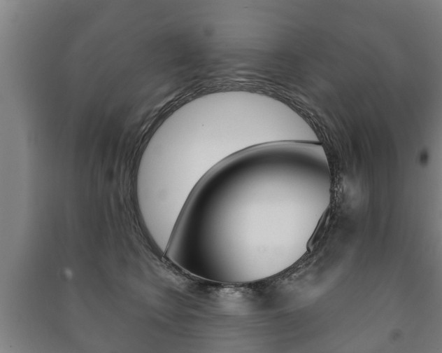 X0000091460566200708161109
