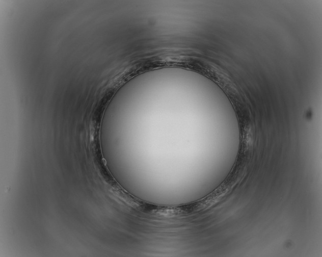 X0000091460567200708161109