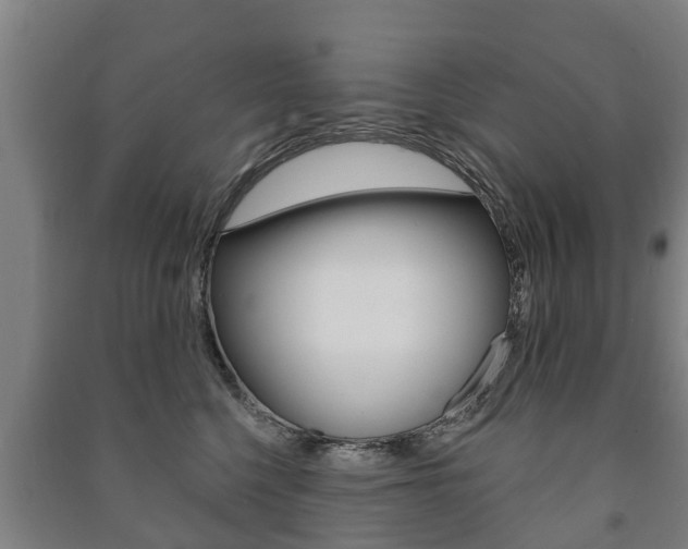 X0000091460568200708161109