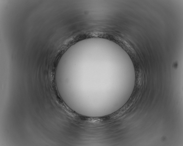 X0000091460569200708161109