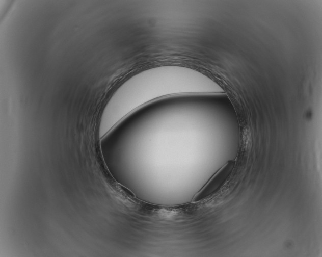X0000091460570200708161109