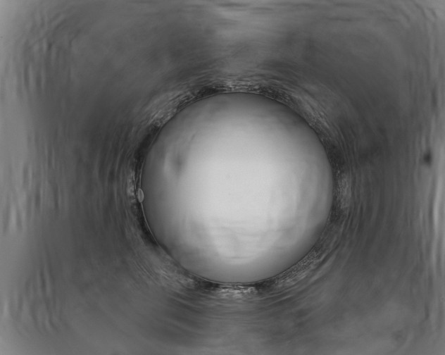X0000091460571200708161109