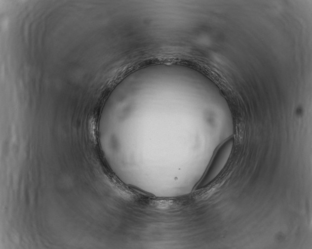 X0000091460575200708161109